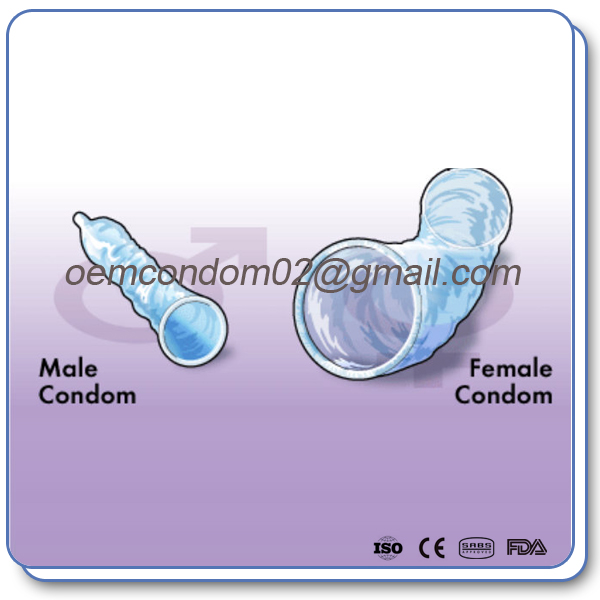 male condom and female condoms